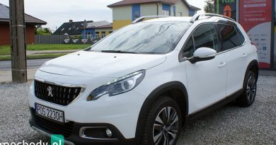 Peugeot 2008 (2019) Peugeot 2008 (2019)