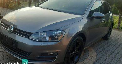 Volkswagen Golf (2013) Volkswagen Golf (2013)