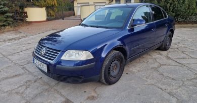 Volkswagen Passat (2004)